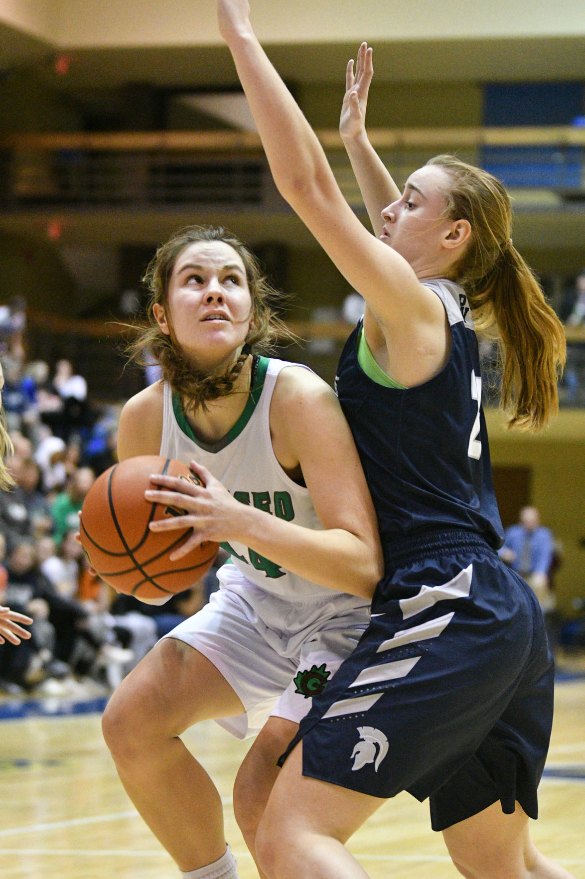 IHMVCU Shootout - Pleasant Valley vs Geneseo